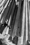 Sitting on a Post