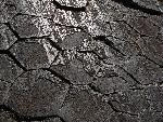 Glacial Polish on Devils Postpile