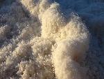 salt detail