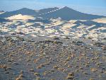 Mesquite Flat Sand Dunes