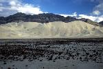 Eureka Dunes and playa