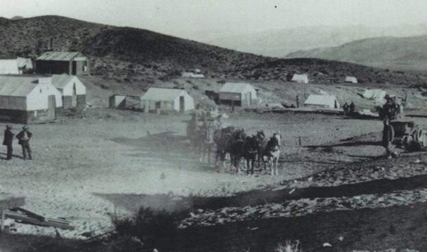 black and white image of white tents and a horse team