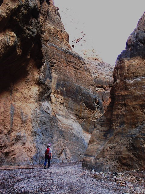 A hiker walks between polished narrow walls of Fall Canyon.
