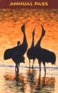 2010 Annual Pass