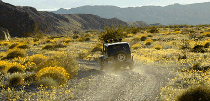 Jeep on Echo Canyon Road, March 2004.