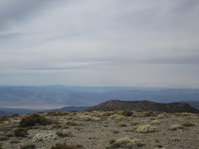 The view from Wildrose Peak looking down into a dry desert valley with large snow capped mountains on the far horizon.