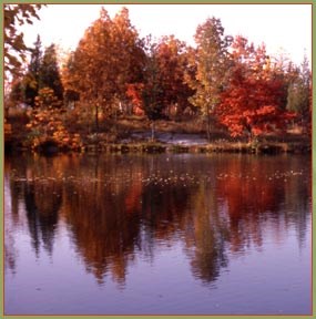 A large lake with fall foliage along its shore