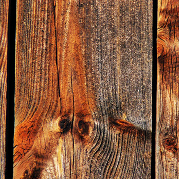 Close up of weathered wood