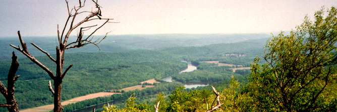 A forested river valley seen from a mountain top