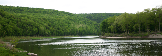 A broad bend in a river with forested shorelines, seen from river level