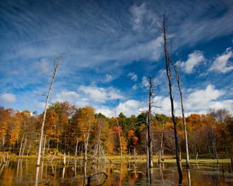 The pond at Park Headquarters