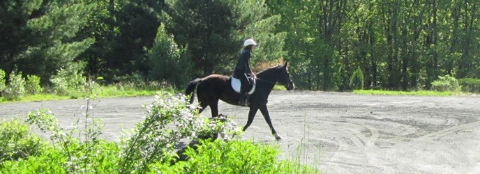 Young woman riding a horse in a field