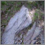 Grayish outcrop of quartzite rock