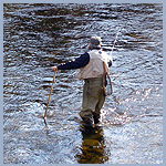 Fisherman with gear casting in a river or stream