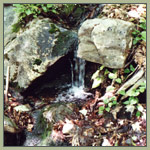 Small course of water streaming from between two rocks