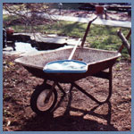 wheelbarrow and pool net