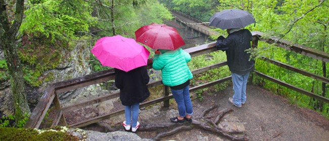 three people with umbrellas at a scenic vista