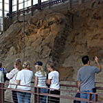 Visitors wander by the fossil wall in the Quarry Exhibit Hall