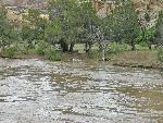 Laddie Park Campsites During High Flows of 2008