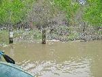 Signpost at Echo Park Boat Ramp During 22,000 cfs