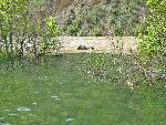 Jones Hole Creek During 2008 High Flows