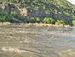 Compromise Campsite During High Flows of 2008