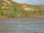 The Cove Campsite at 22,000 cfs in 2008 