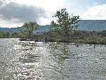 Island Park Campsite During 2008 High Flows