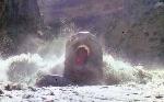Raft in Warm Springs 1984