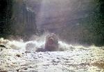 Raft in Warm Springs in 1984