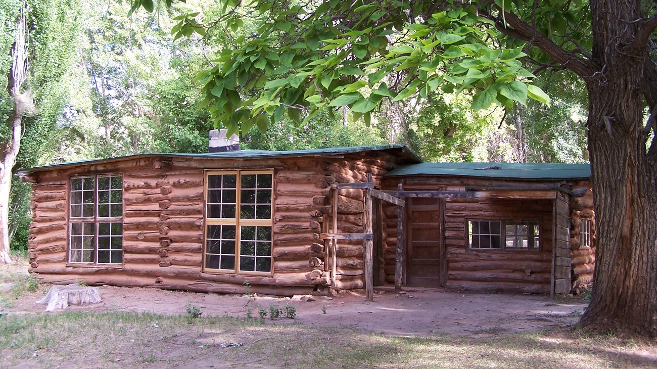 A log cabin with large windows and a green roof is shaded by trees.
