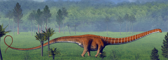 barosaurus