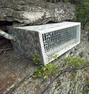 Hack box used for peregrine falcons at New River Gorge National River.