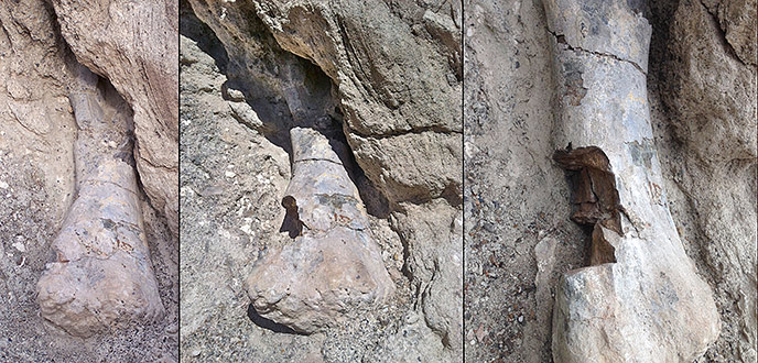 Before, after, and closeup photo of humerus