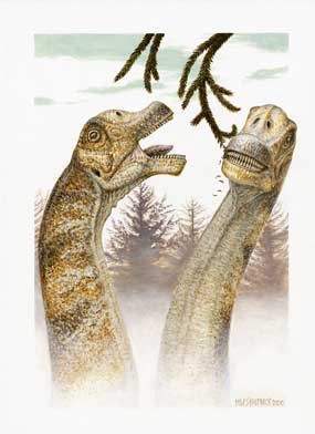 Life restoration of the new dinosaur found in Dinosaur National Monument, feeding on conifer trees (copyright 2010, Michael W. Skrepnick). Use of this image requires copyright statement be part of the caption.