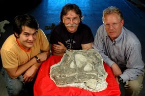 The authors of the new paper with the complete skull. Left to right: Jeff Wilson, University of Michigan, Dan Chure, Dinosaur National Monument, and Brooks Britt, Brigham Young University. Not pictured, John Whitlock, University of Michigan.