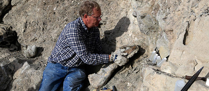 Dr Brooks Britt from BYU gently lifts the fossil humerus from the rack.