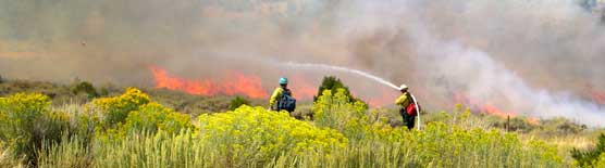 fire fighters spray water on a brush fire