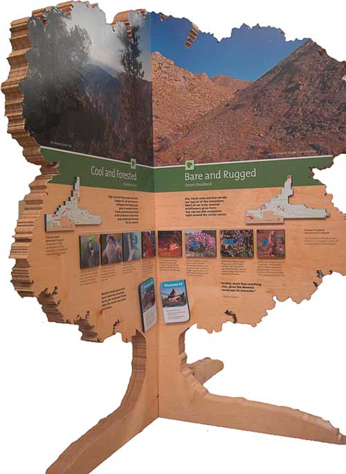 A tree-shaped exhibit includes information about Dinosaur NM's diverse ecosystems. 