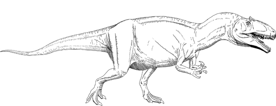 Black and white sketch of an Allosaurus for the new Dinosaur NM mural.