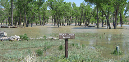 Deerlodge Park Campground on June 6, 2011. Yampa River level is at 21900 cubic feet per second (cfs).