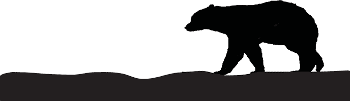 Graphic pf black bear