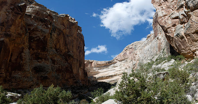 Box Canyon