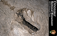 Dinosaur National Monument 2013 Annual Pass