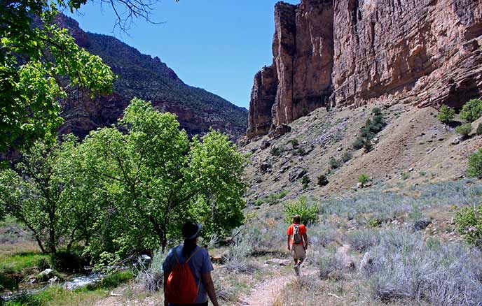 Hikers on the Jones Hole Trail