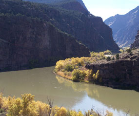 Green River, flanked by autumnal cottonwoods, entering the Canyon of Lodore.