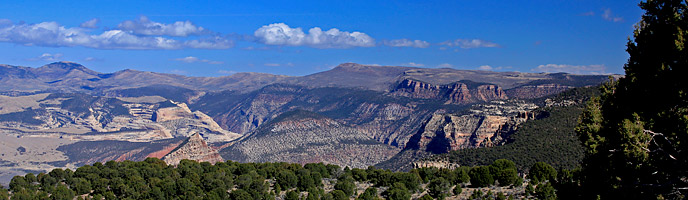 Scenery along the Ruple Point trail
