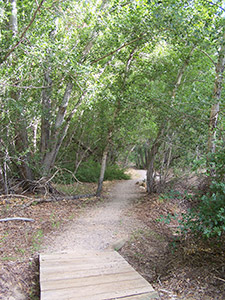 box canyon trail