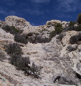 Craggy wall of sandstone