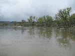 Deerlodge Park Campground at 19,700 cfs